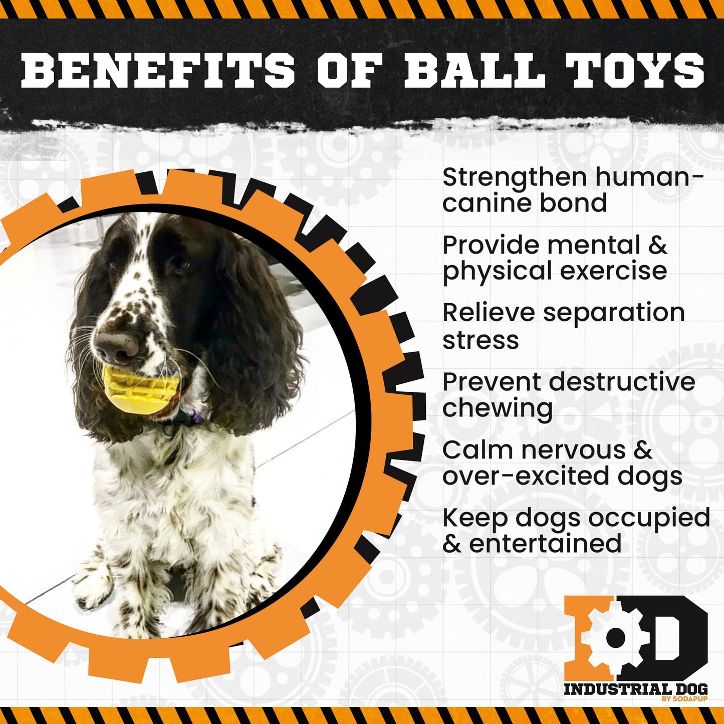 ID Ball Durable Rubber Chew Ball Rubber Dog Toys SodaPup/True Dogs, LLC