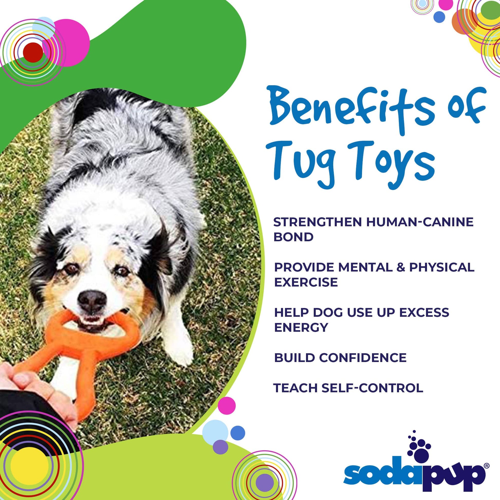 Pop Top Rubber Tug Toy for Interactive Play Rubber Dog Toys SodaPup/True Dogs, LLC