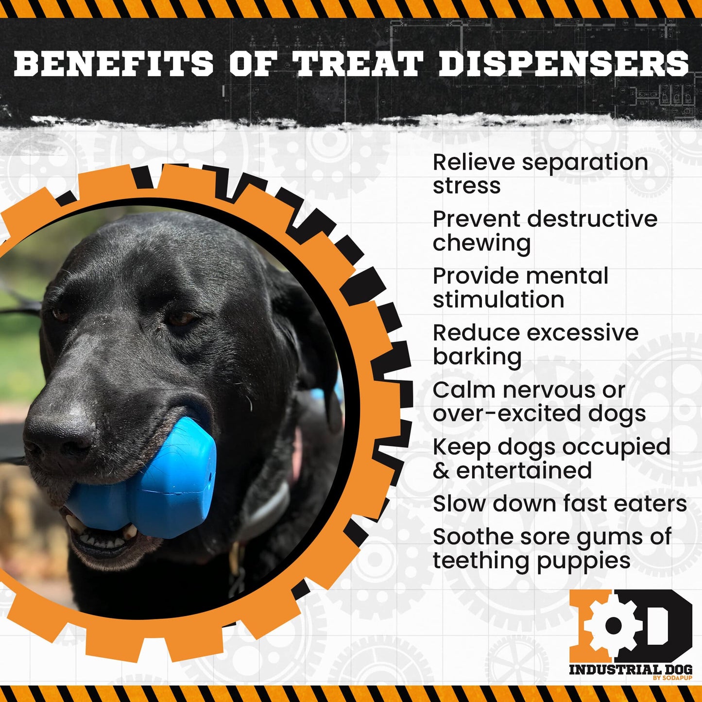 Double Trouble Durable Rubber Chew Toy and Treat Dispenser Rubber Dog Toys SodaPup/True Dogs, LLC