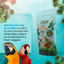 Parrot Food Super-Pack Bird Food Bird Street Bistro