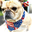 USA Dog Bandana Dog Bandana Happy Tails Outfitters