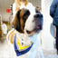 Erin 100% Silk Twill Dog Scarf, or Bandana Dog Bandana BESPOKE PAWS