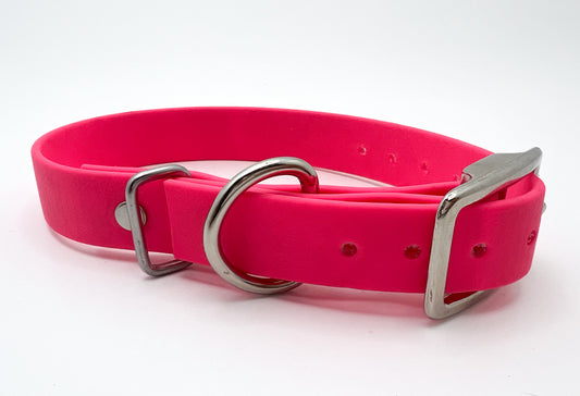 Image of a hot pink collar with silver hardware on a white background