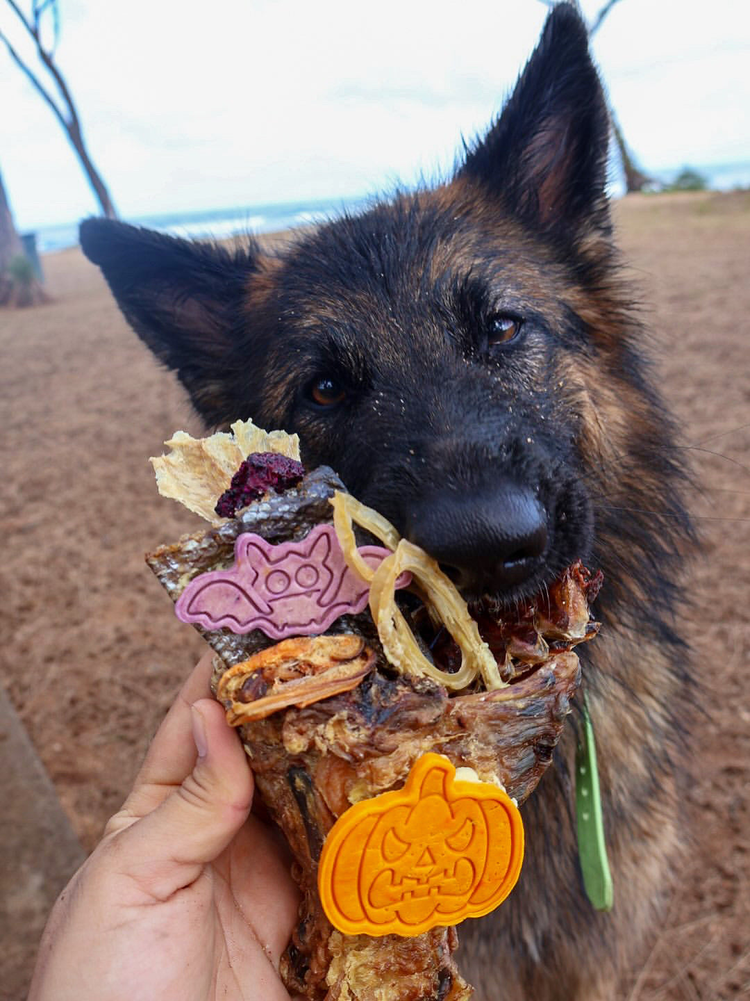 Chicken Frames (Chunked) Naked Beasts