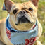 Patchwork Dog Bandana Dog Bandana Happy Tails Outfitters