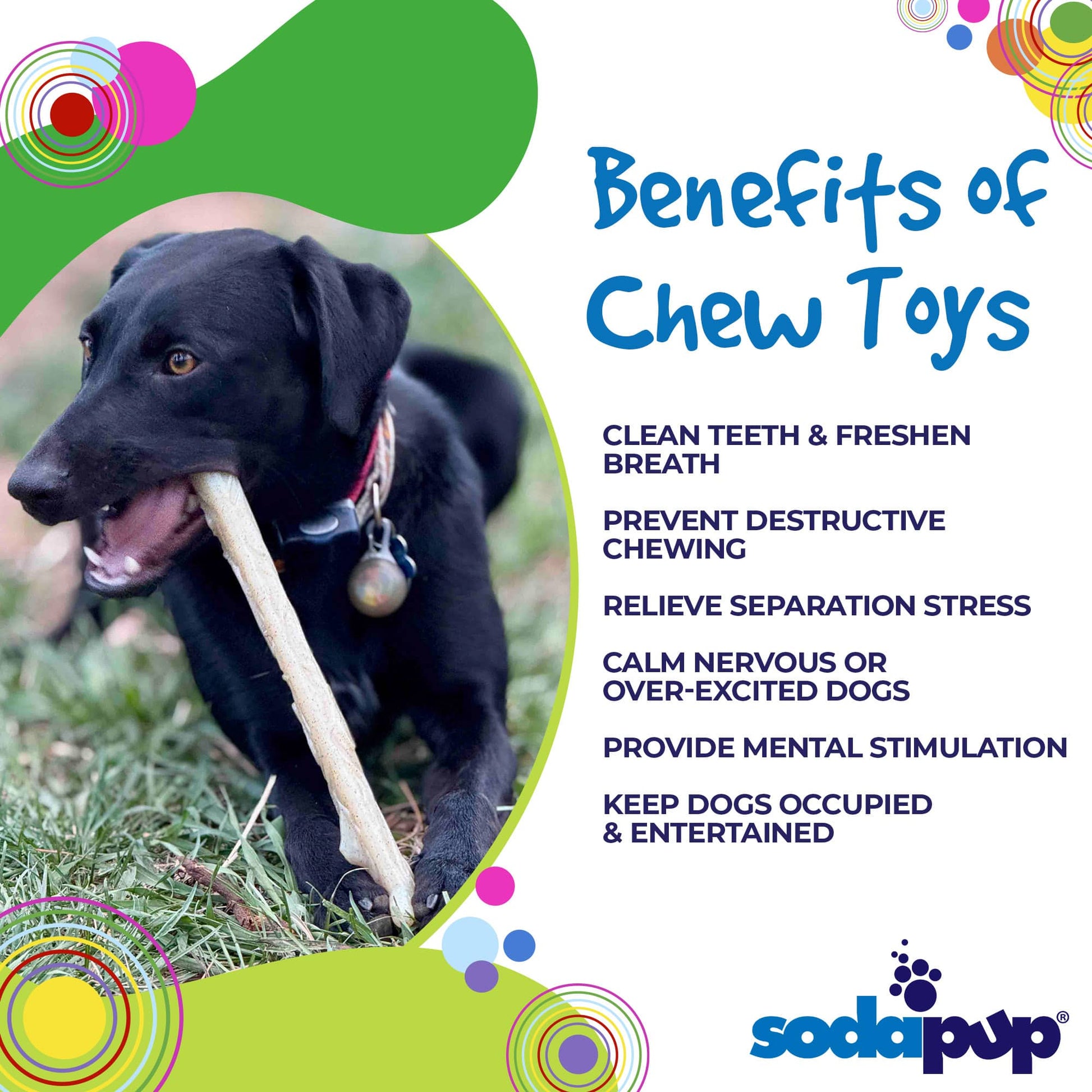 Durable Nylon Chew Stick for Power Chewers | Indestructible Dog Toy USA Nylon Dog Toys SodaPup/True Dogs, LLC
