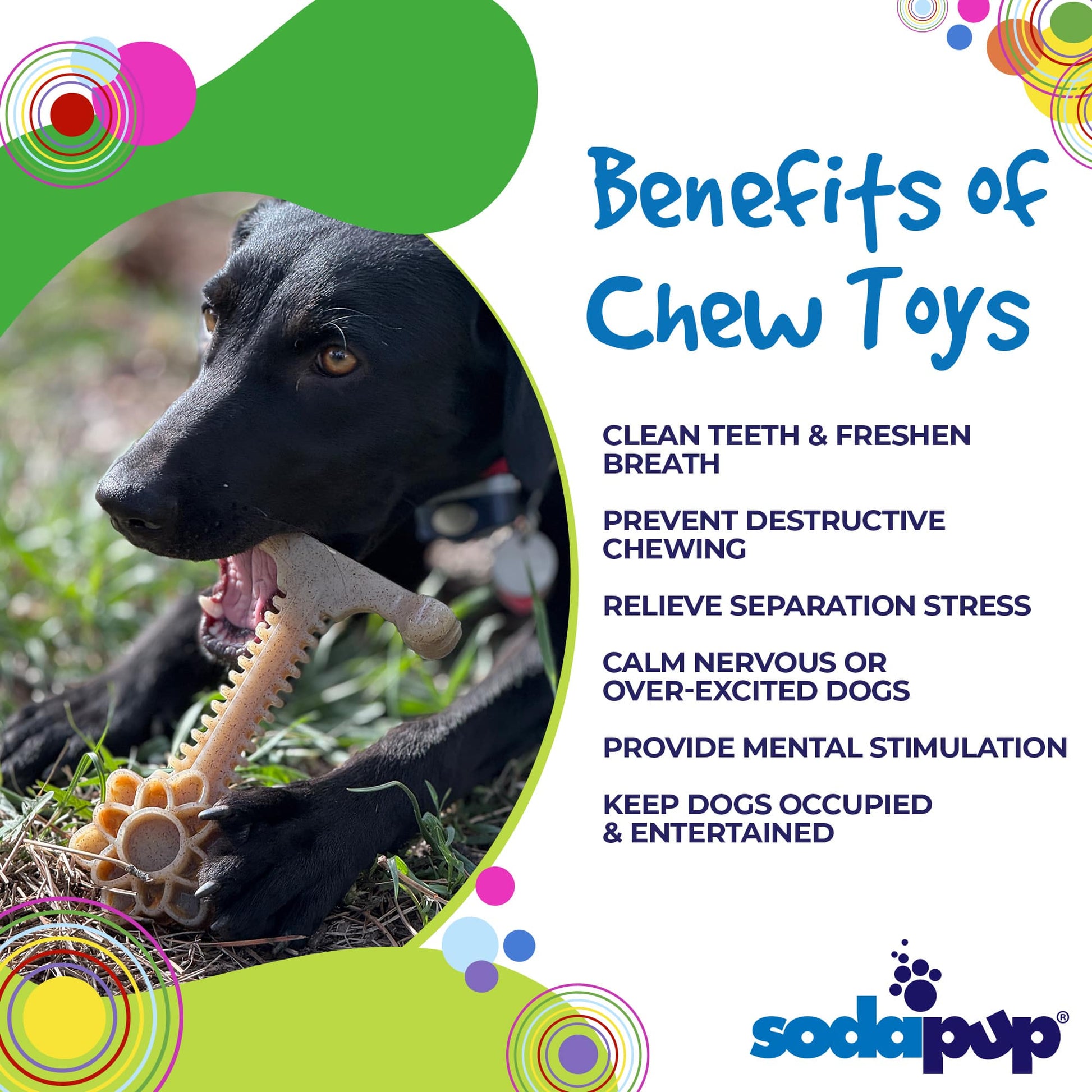 Honey Bone Dental Flower Tower - Indestructible Nylon Dog Chew Toy XL | USA Nylon Dog Toys SodaPup/True Dogs, LLC