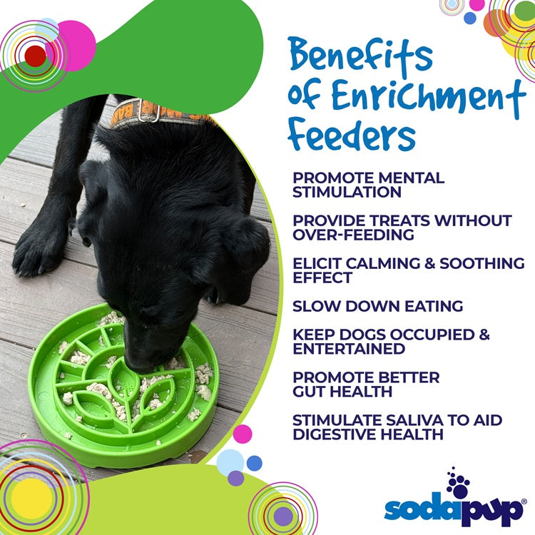 Garden Design eTray - Shallow Slow Feeder Dog Bowl for Enrichment | USA ETRAY SodaPup/True Dogs, LLC