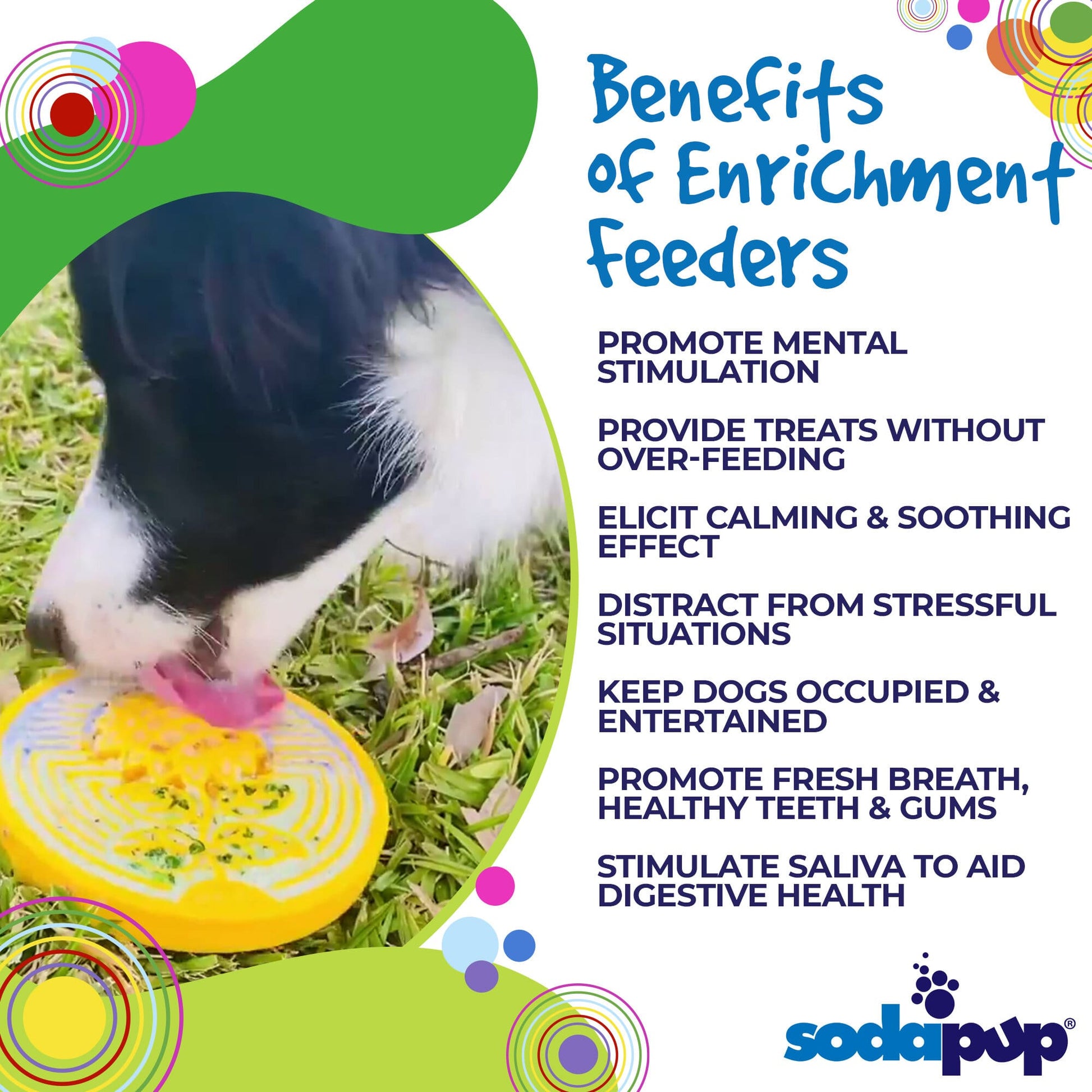 Earth eCoin Nylon Lick Mat for Dogs | USA Made Enrichment Toy | SodaPup ECOIN SodaPup/True Dogs, LLC
