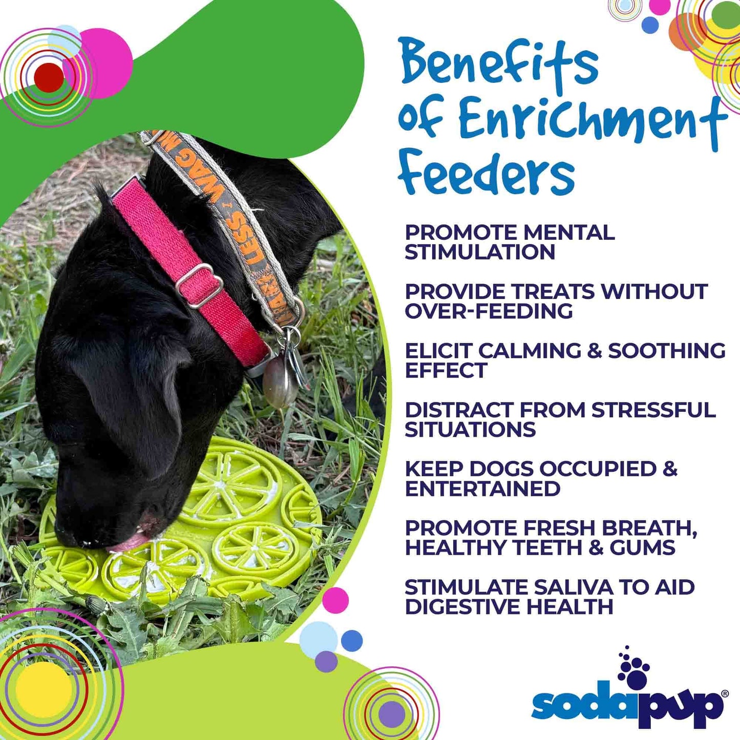 Citrus Design eMat - Enrichment Lick Mat For Dogs and Cats - with Suction Cups | USA Made EMAT SodaPup/True Dogs, LLC