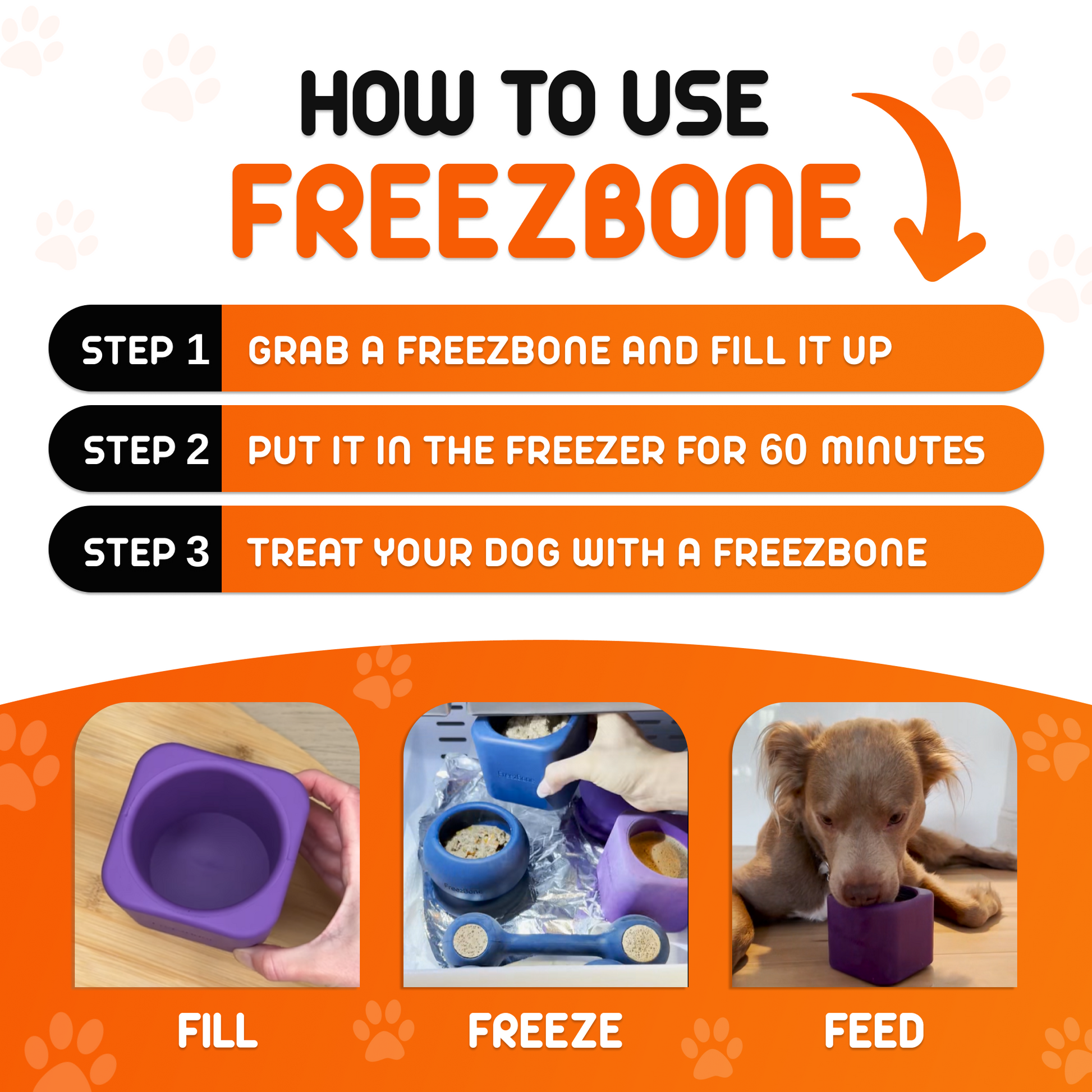 Freezbox - Super Tough Treat Toy Freezbone