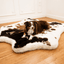 PupRug® Animal Print Memory Foam Dog Bed - Brown Faux Cowhide Dog Beds Paw.com