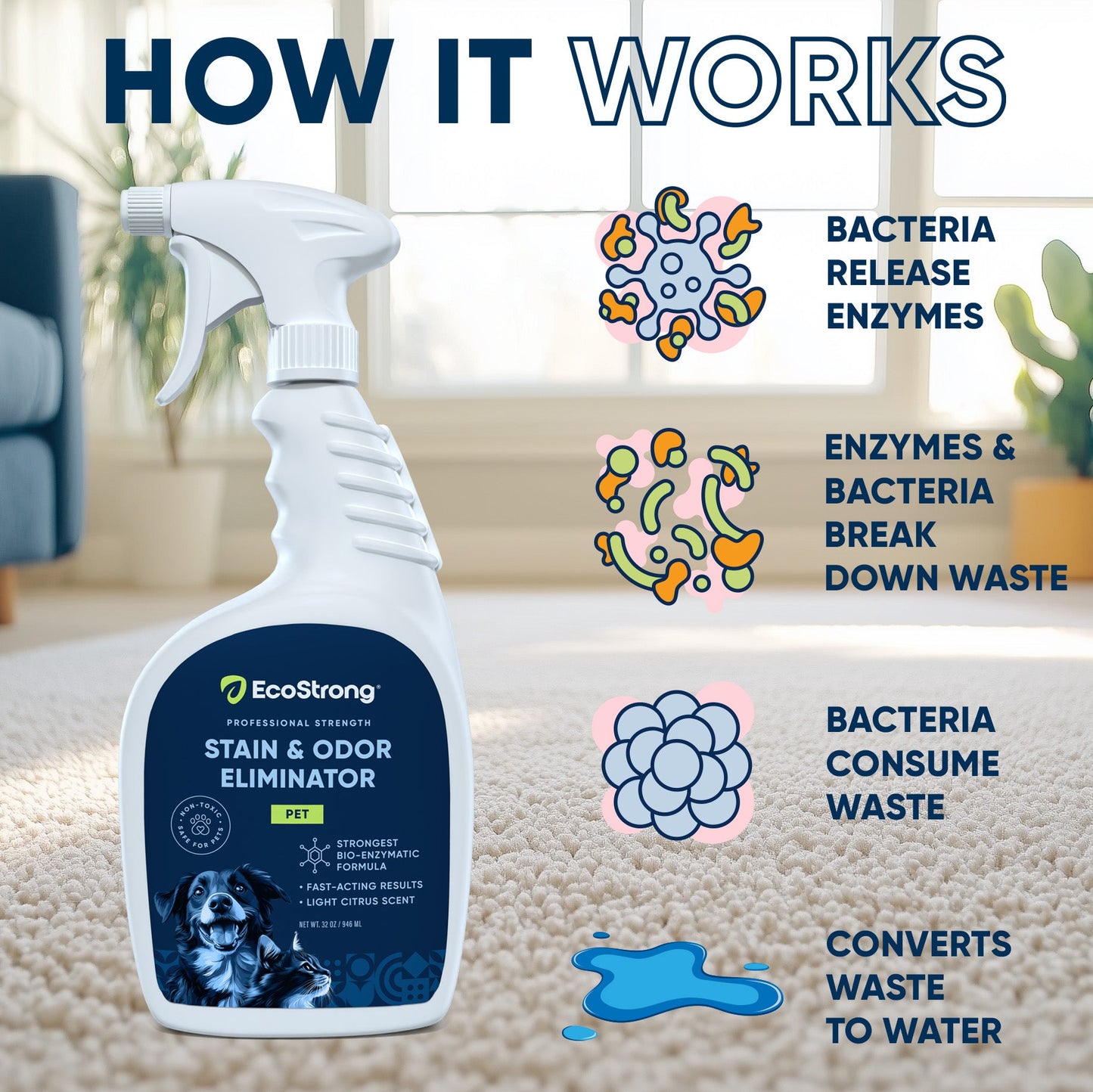 Pet Stain and Odor Eliminator Pet & Animal > Pet Stain & Odor EcoStrong