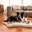 PupRug® Animal Print Memory Foam Dog Bed - Brown Faux Cowhide Dog Beds Paw.com