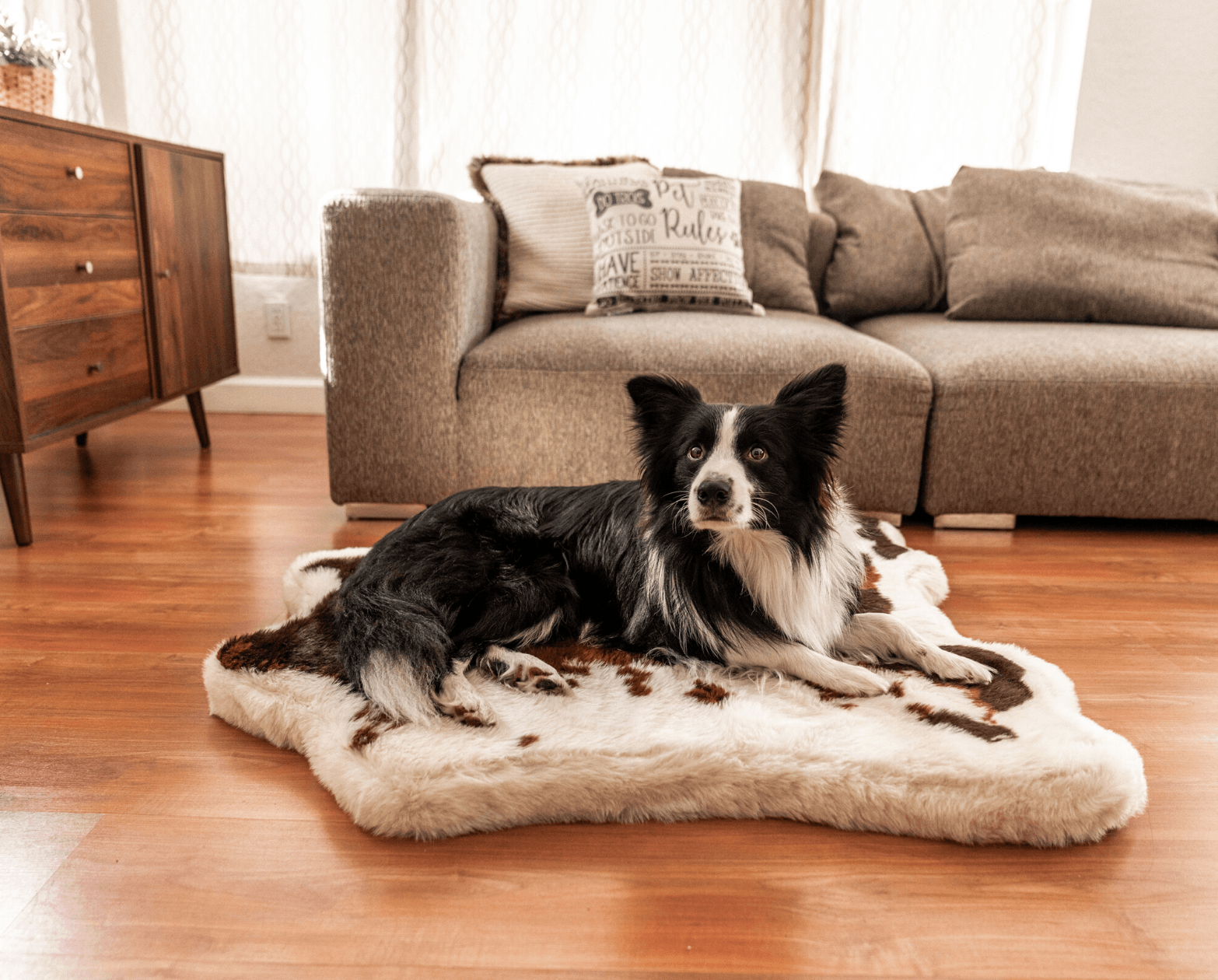 PupRug® Animal Print Memory Foam Dog Bed - Brown Faux Cowhide Dog Beds Paw.com