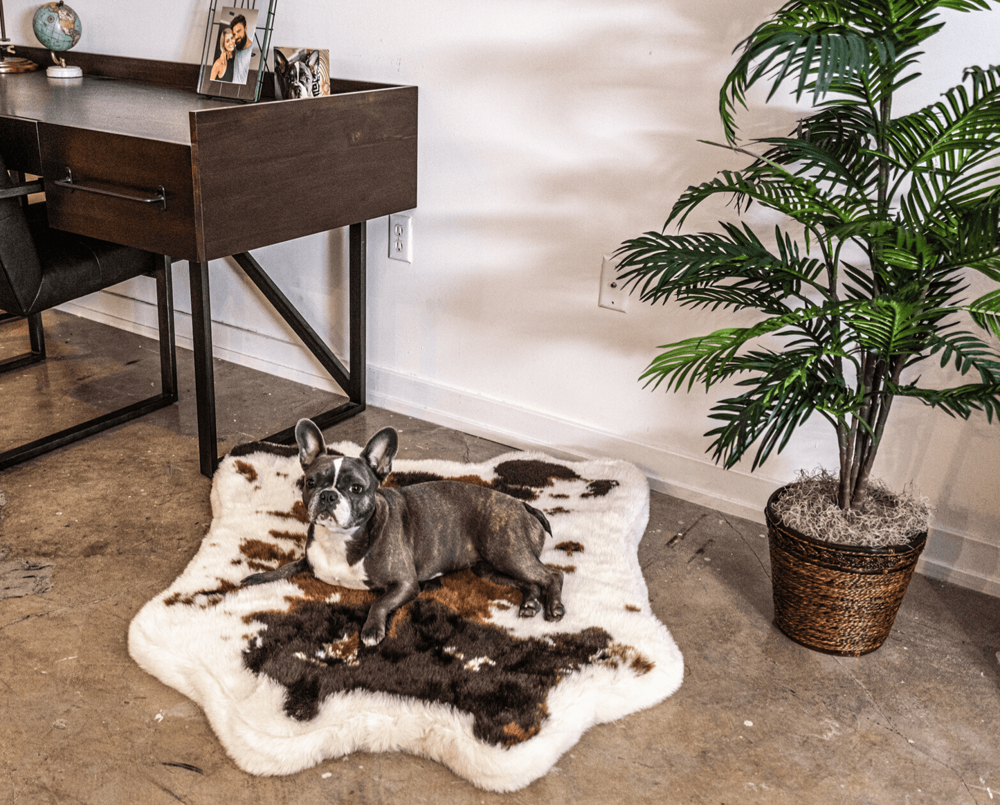 PupRug® Animal Print Memory Foam Dog Bed - Brown Faux Cowhide Dog Beds Paw.com