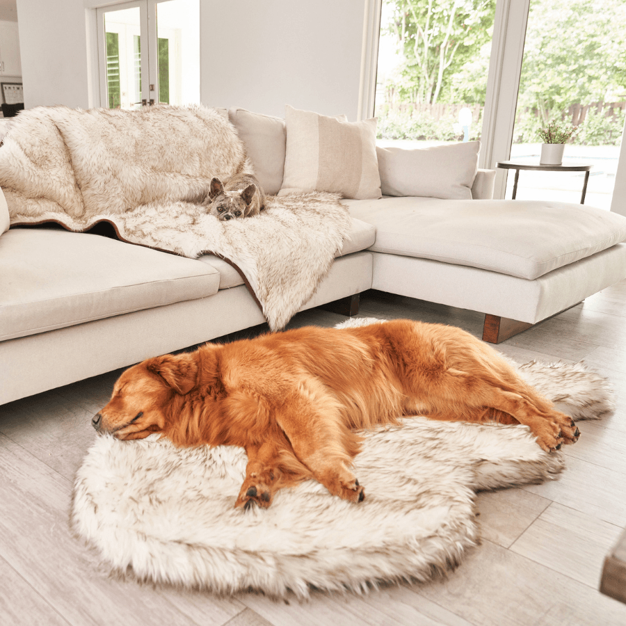 PupRug by Paw.com® Faux Fur Orthopedic Dog Bed - Curve White with Brown Accents Dog Beds Paw.com