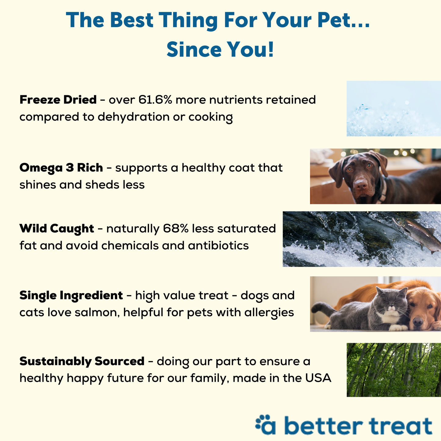 Freeze Dried Wild Caught Salmon Dog and Cat Treats A Better Treat