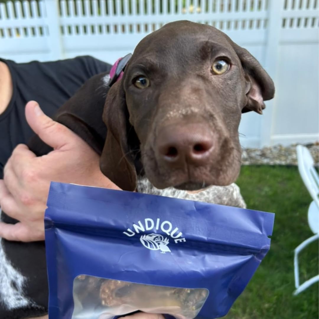 Quail Crunch Sticks Dog Treats, 10 Count Quail Spines Gourmet Dehydrated Healthy Dog Training Treats, Premium Flavors Promote Dental Health, No Artificial Additives for Happy Pets Quailz.com by Undique LLC