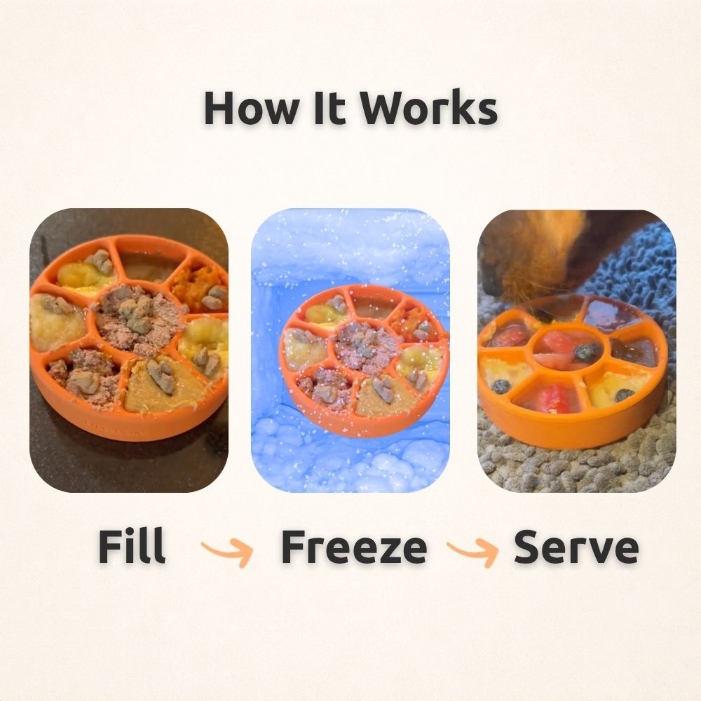 FreezWheel - Durable Interactive Chew Freezbone