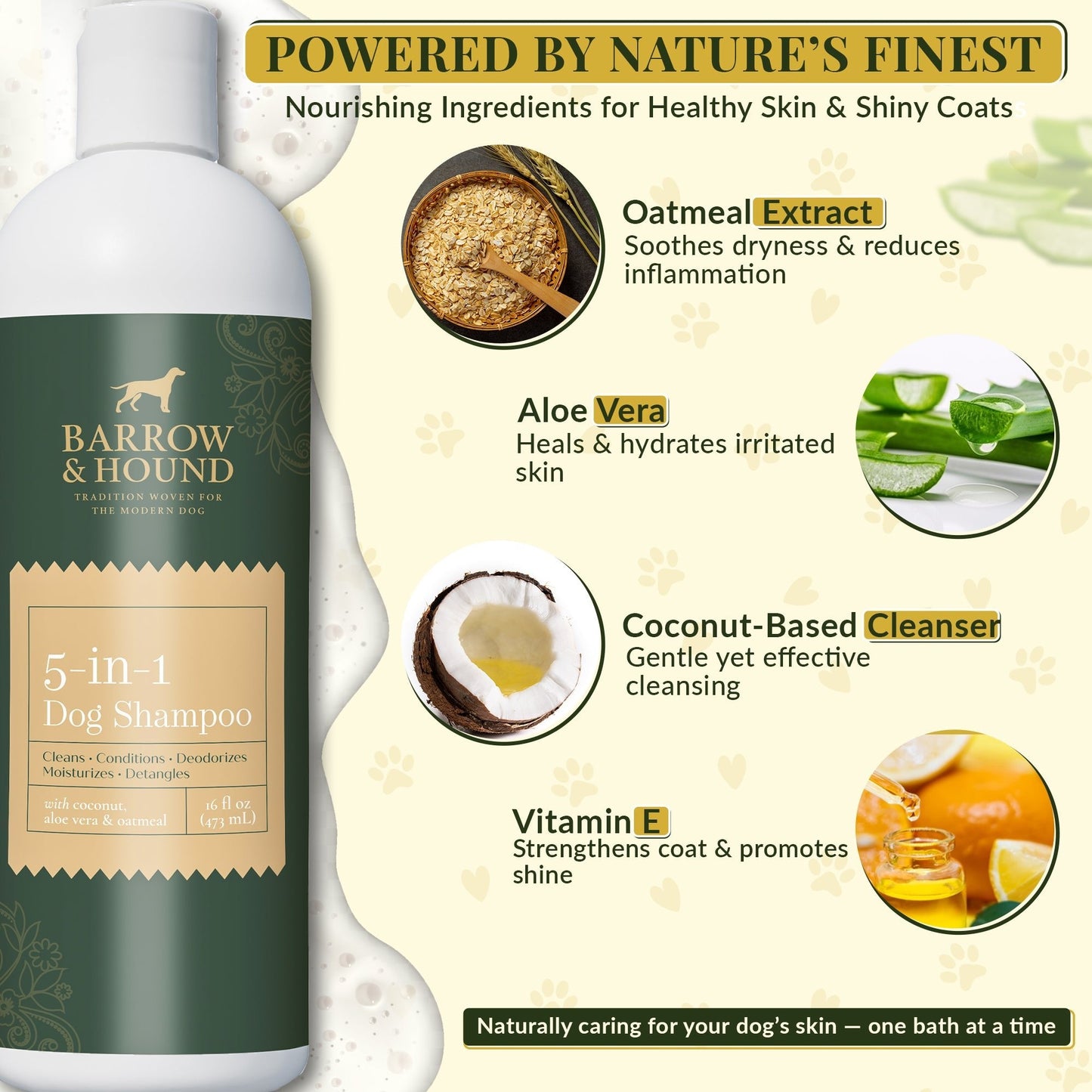 5-in-1 Dog Shampoo – Cleans, Conditions, Deodorizes, Moisturizes & Detangles – with Coconut, Oatmeal & Aloe – for Sensitive Skin – 16 fl oz Shampoo Barrow & Hound