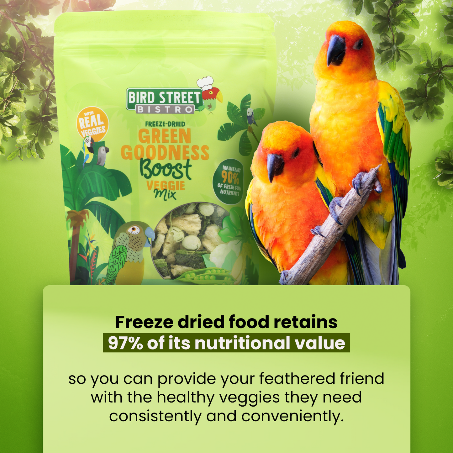 Green Goodness Boost - Parrot Veggies Mix Parrot Food Bird Street Bistro