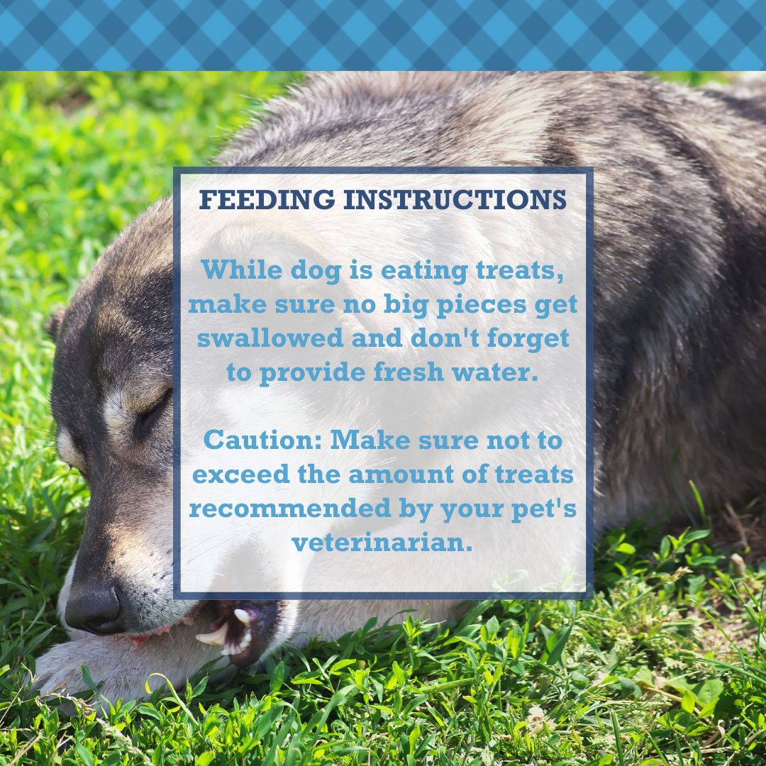 Country Living Whole Pig Ears Dog Treats – 100% Natural, Premium Pork Chews for Dental Care – (15-Pack) Dog Treats American Pet Supplies