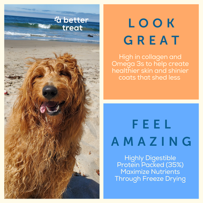 A Better Dog Food Chicken - Raw You Can See A Better Treat