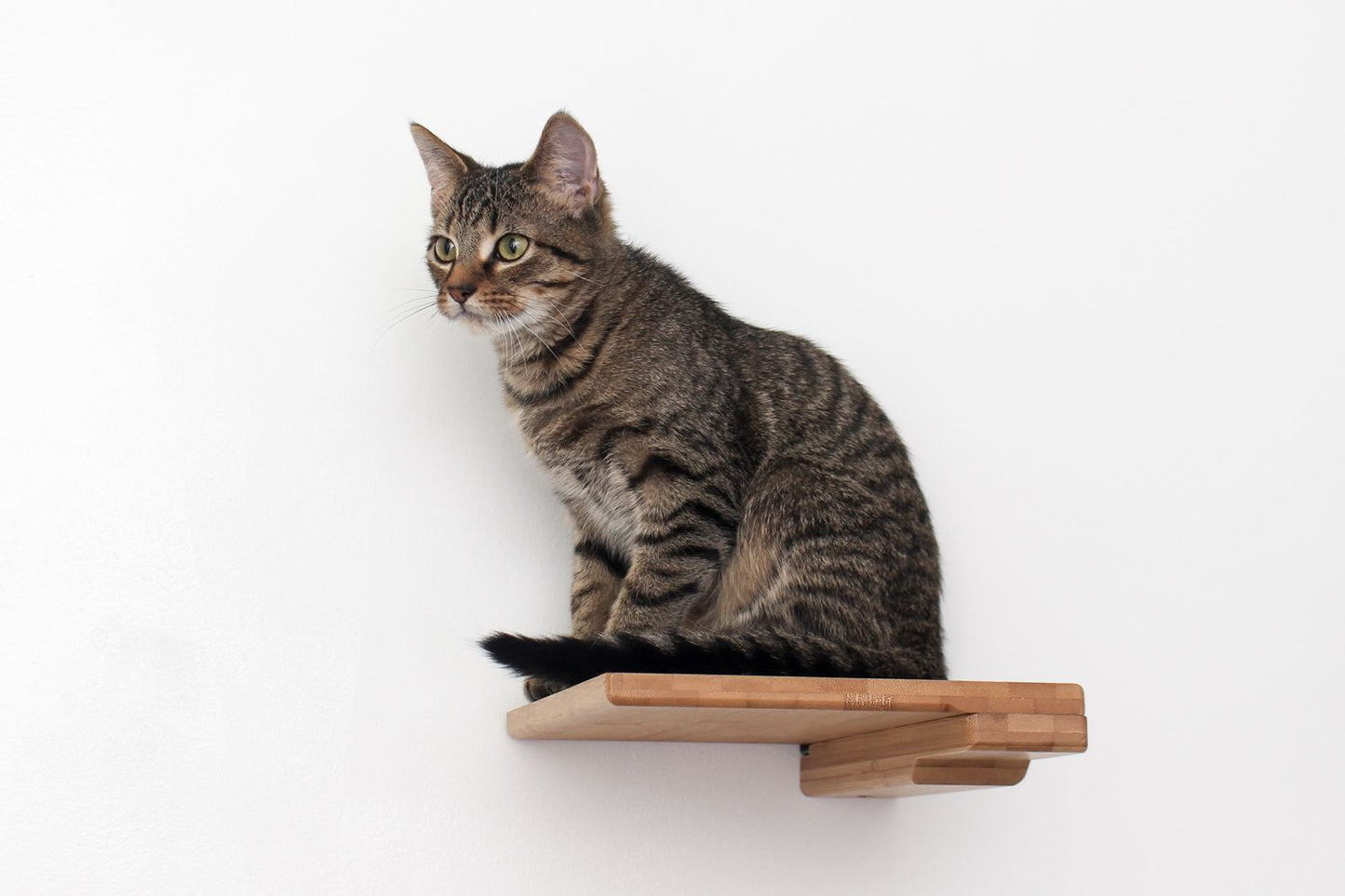 Cat Climbing Shelf Cat shelves/bed Catastrophic Creations