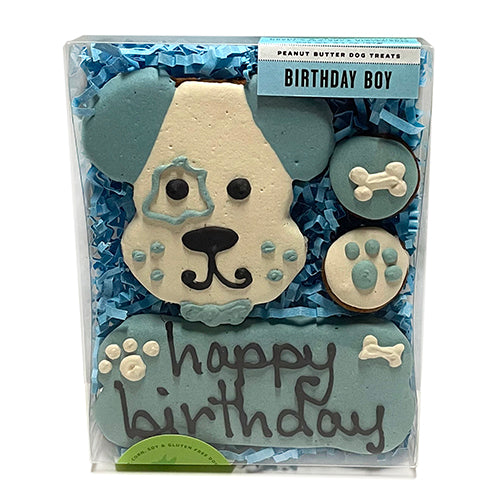 Birthday Dog Boy Box containing treats