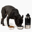 Pup Pak Dog Water Bottle with Detachable Bowls Dog Travel Bottles and Bowls Pup Pak