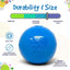 Squeak Ball - Durable Squeaky Dog Toy, Floats, Chew Toy | USA Made Rubber Dog Toys SodaPup/True Dogs, LLC