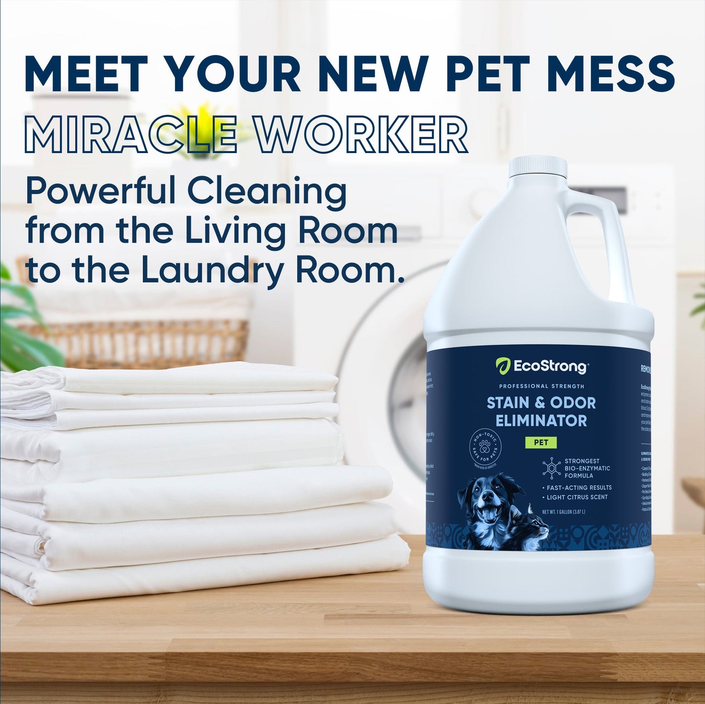 Pet Stain and Odor Eliminator Pet & Animal > Pet Stain & Odor EcoStrong