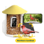 Birdfy Feeder with Solar Panel - Solar-Powered Smart Bird Feeder with Camera Yellow AI Lifetime Free Bundle Birdfy