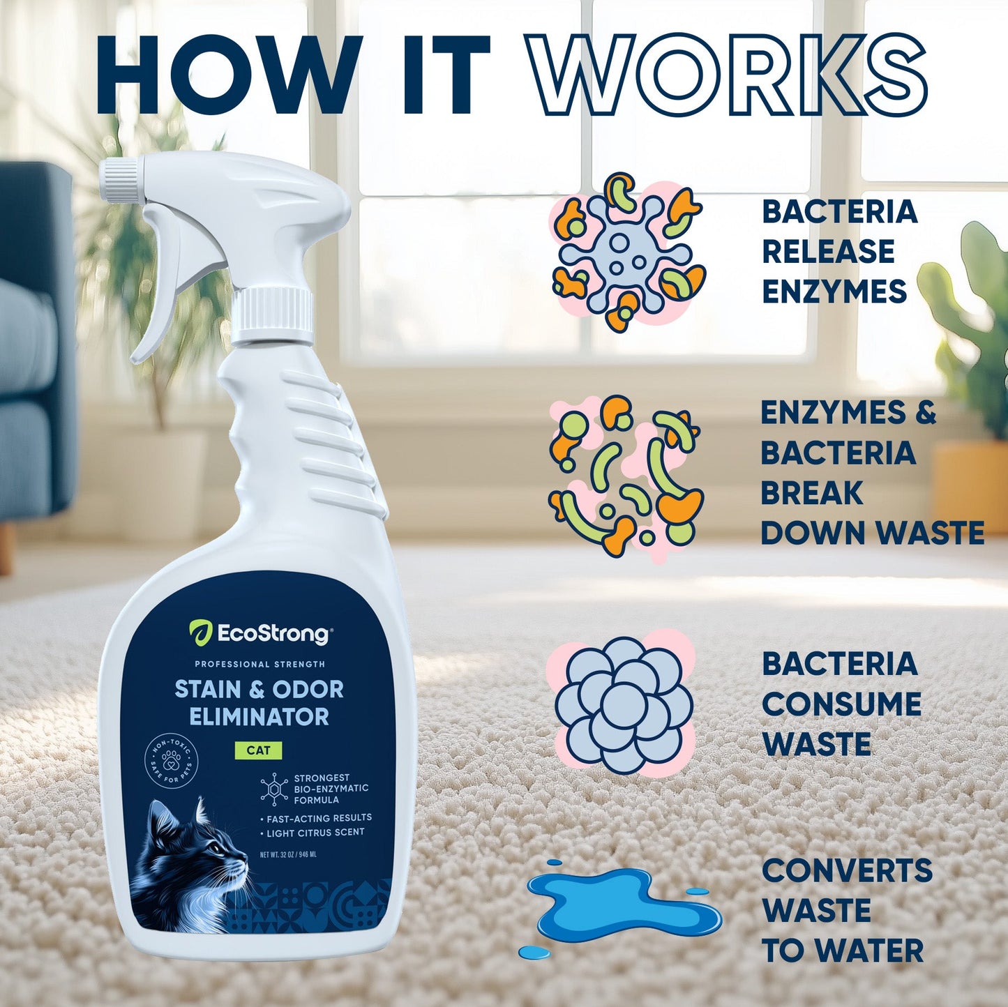 Cat Stain and Odor Eliminator Pet & Animal > Cat Stain & Odor EcoStrong