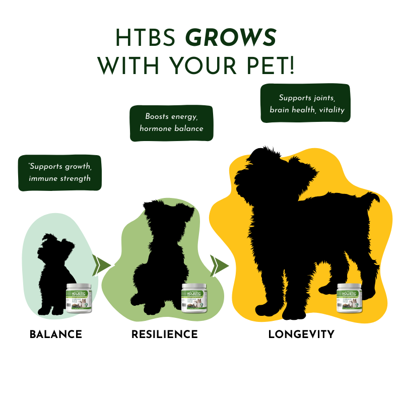 Holistic Total Body Support – Multivitamin & Glandular Support for Dogs and Cats Vitamins & Supplements Dr. Ruth Roberts