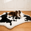 PupRug® Animal Print Memory Foam Dog Bed - Black Faux Cowhide Dog Beds Paw.com