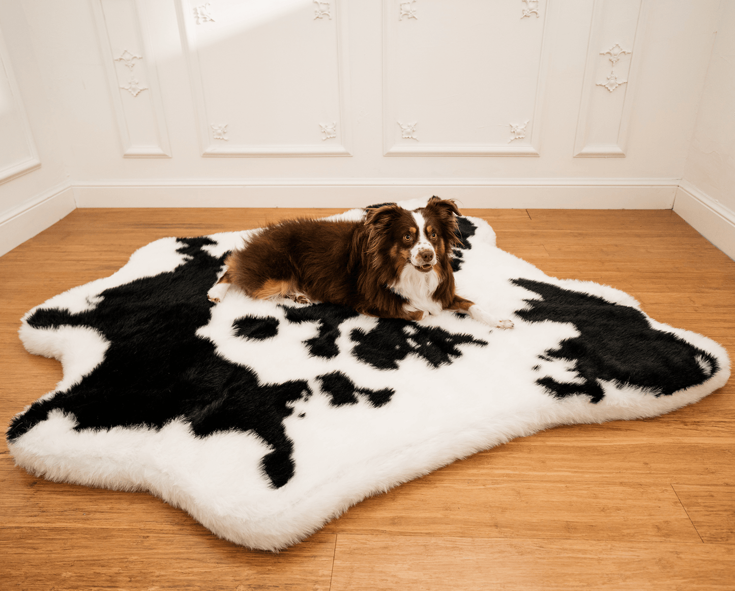 PupRug® Animal Print Memory Foam Dog Bed - Black Faux Cowhide Dog Beds Paw.com