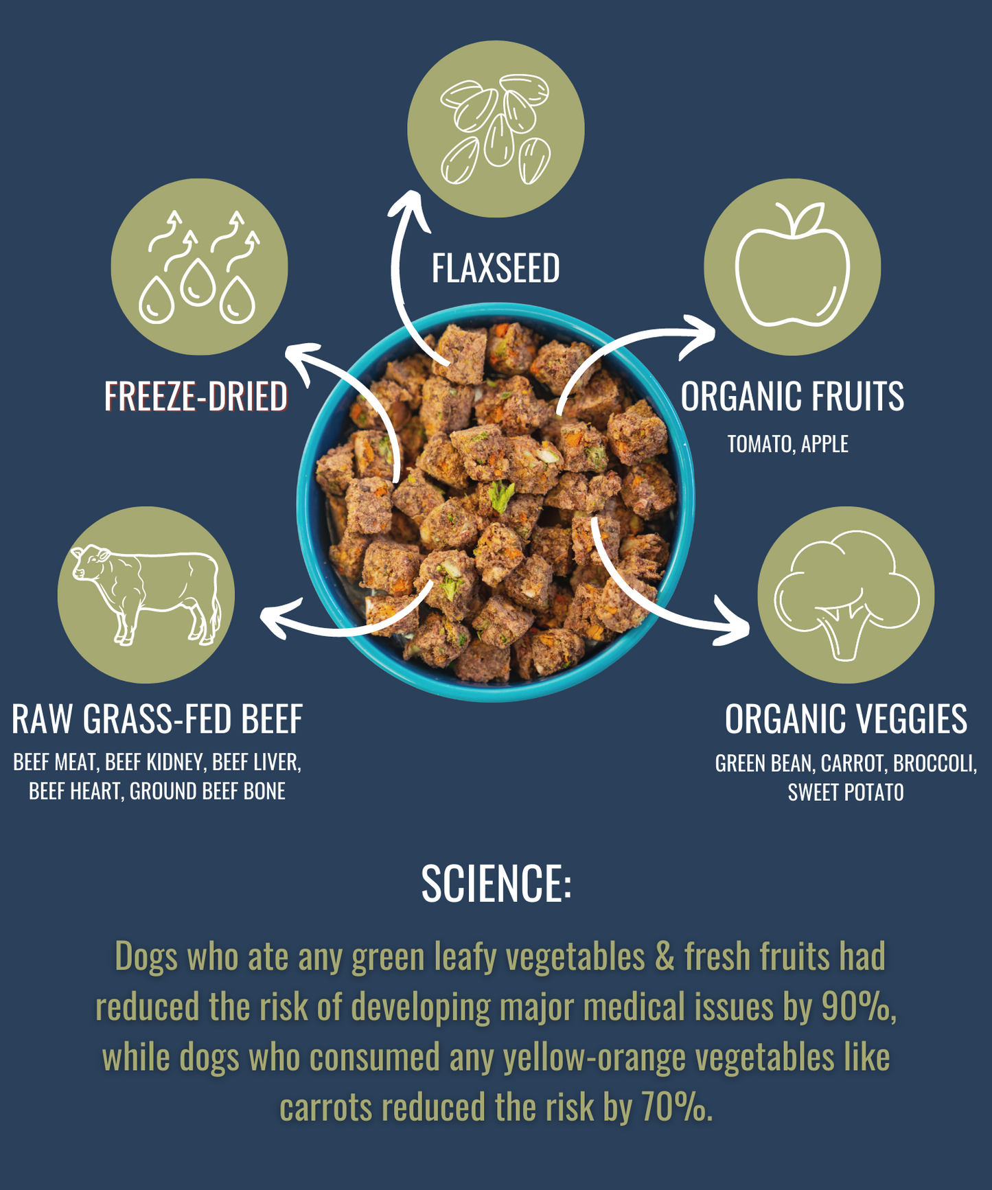 PREMIUM RAW FREEZE DRIED DOG FOOD BEEF freeze dried dog food Alpha Pak