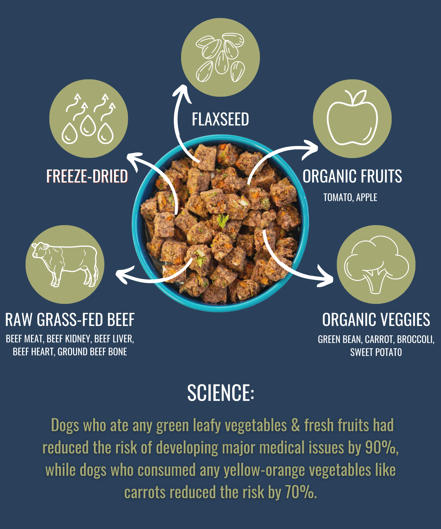 PREMIUM RAW FREEZE DRIED DOG FOOD BEEF freeze dried dog food Alpha Pak