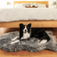 PupRug by Paw.com® Faux Fur Orthopedic Dog Bed - Curve Charcoal Grey Dog Beds Paw