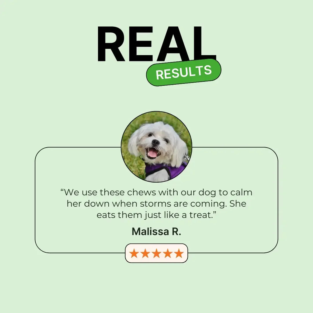 Calming Support With Hemp For Dogs 9oz Jar (120 Count) Dog Soft Chews Dogline