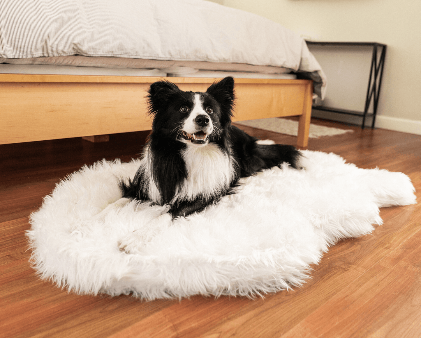 PupRug by Paw.com® Faux Fur Orthopedic Dog Bed - Curve Polar White Dog Beds Paw