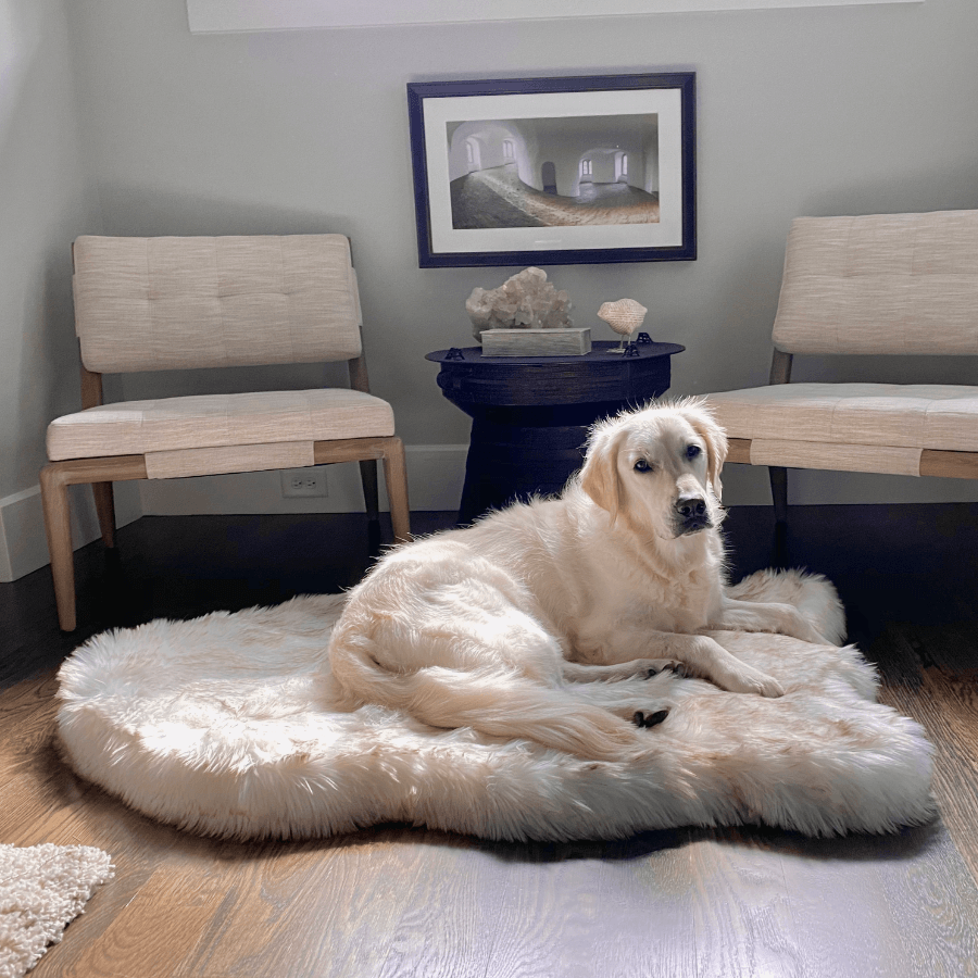 PupRug by Paw.com® Faux Fur Orthopedic Dog Bed - Curve White with Brown Accents Large (50" L x 30" W) Dog Beds Paw.com