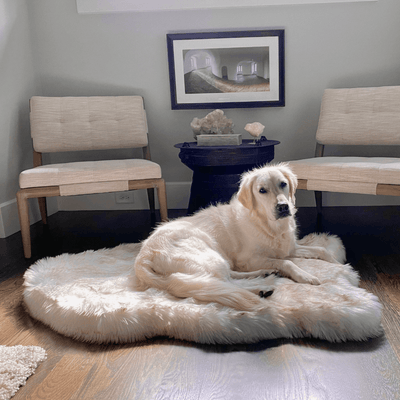 PupRug by Paw.com® Faux Fur Orthopedic Dog Bed - Curve White with Brown Accents Large (50" L x 30" W) Dog Beds Paw.com