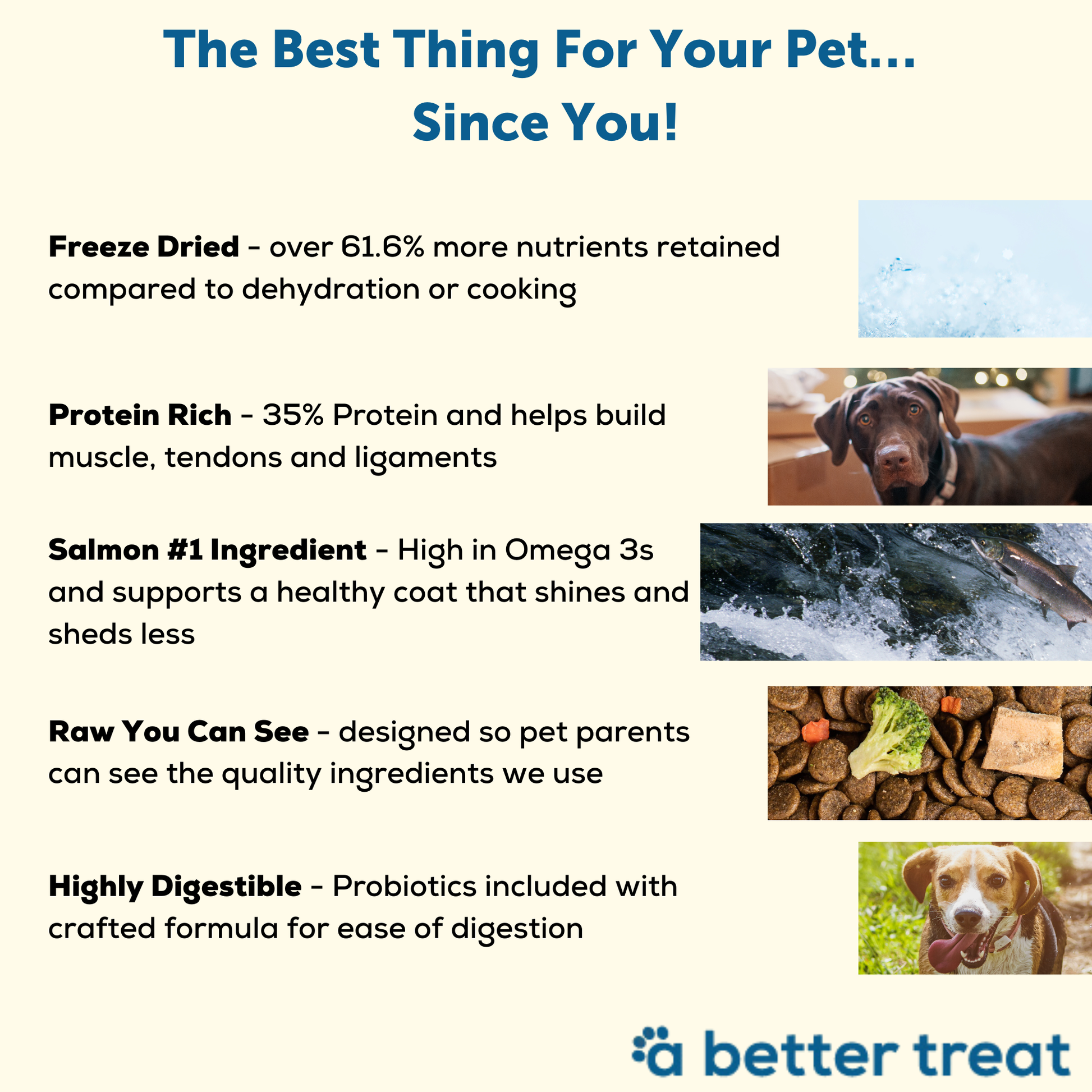 A Better Dog Food Salmon - Raw You Can See A Better Treat