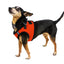 Boston Mesh Dog Harness + Built-in Hook & Loop Fastener Dog Harnesses Dogline