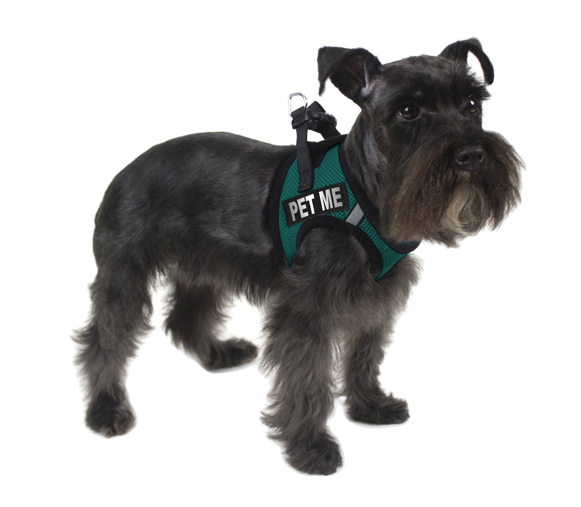 Removable Reflective Patches (Set of 2) Dog Patches Dogline