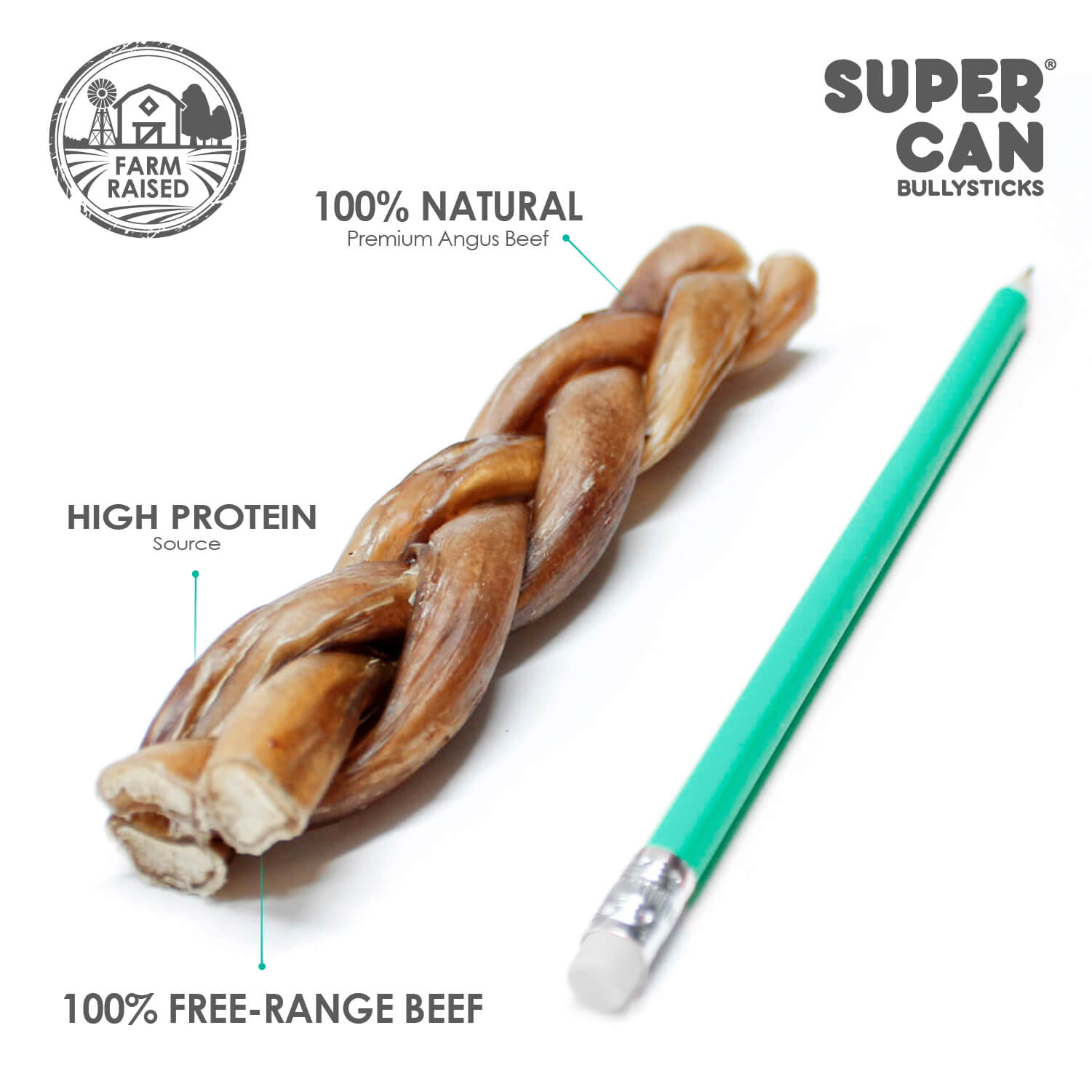 6" Braided Bully Sticks (10-Pack) SuperCan Bully Sticks