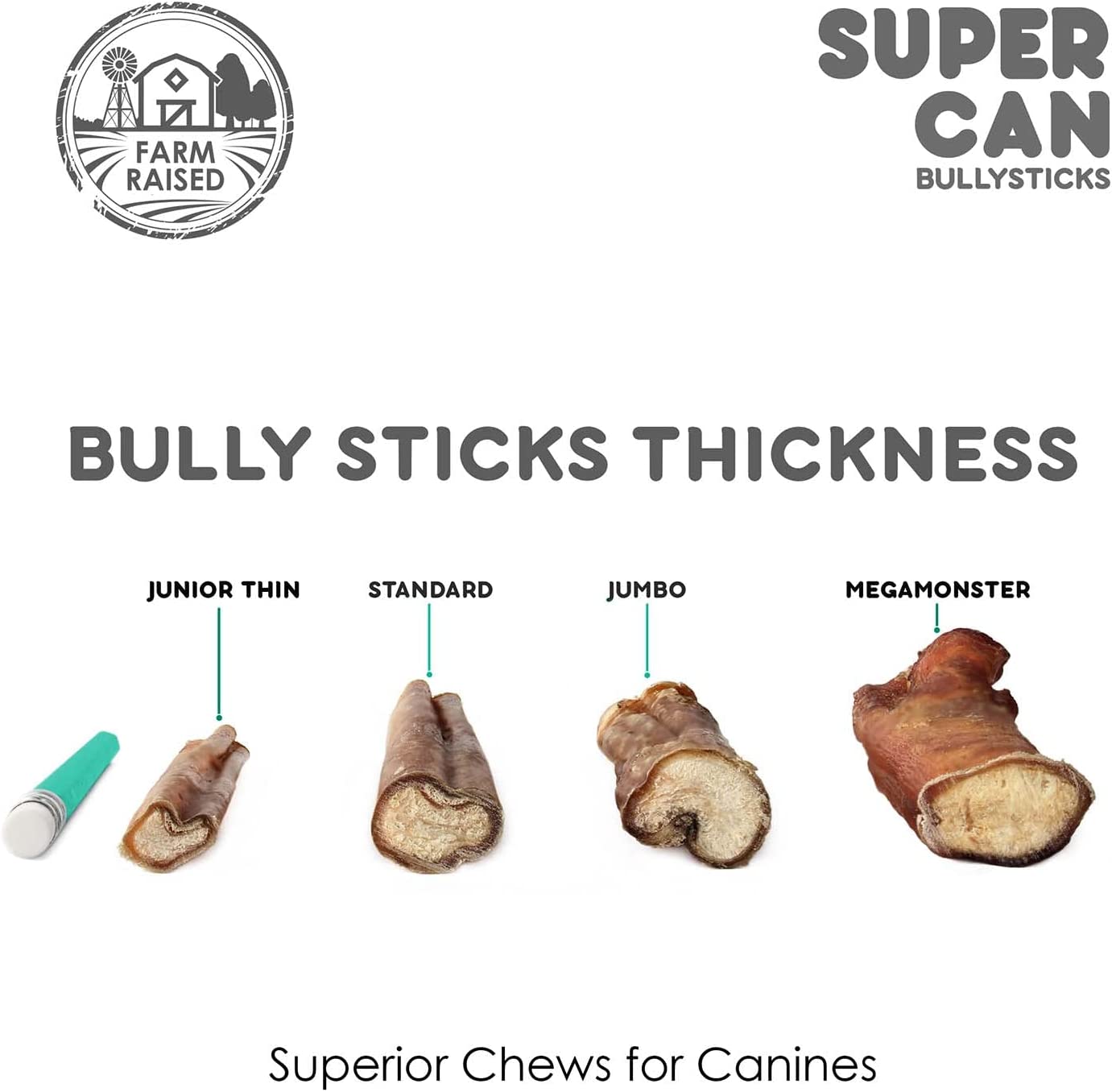 12" Standard Bully Sticks SuperCan Bully Sticks